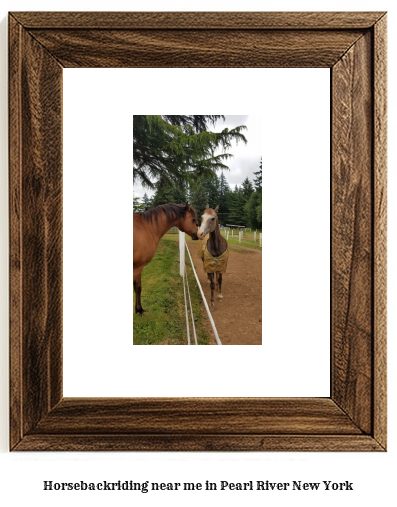 horseback riding near me in Pearl River, New York